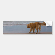 Nova Scotia Duck Tolling Retriever Ocean Cautious Bumper Stickers
