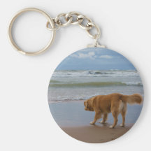 Nova Scotia Duck Tolling Retriever Ocean Cautious Key Chains