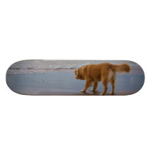 Nova Scotia Duck Tolling Retriever Ocean Cautious Skate Decks