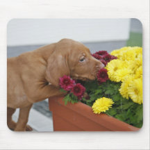 Novice Gardener Vizsla Mousepad
