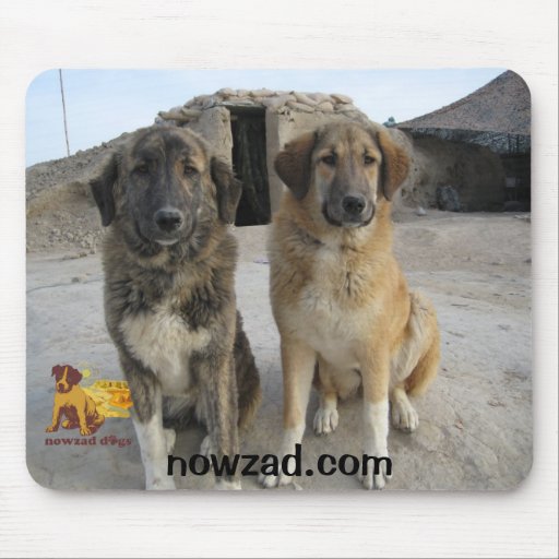 Nowzad Dogs mouse mat