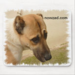 Nowzad Rescue Ay Jay Mousepad