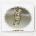 Nowzad Rescue Cat Mousepad