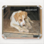 Nowzad Rescue Dog Mousepad