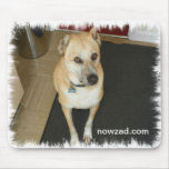 Nowzad Rescue Dog Mousepad