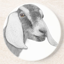 Nubian Goat Sandstone Coaster