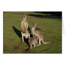 Nuclear 'Roos Greeting Card