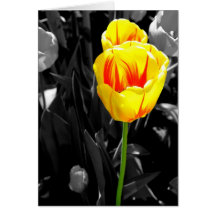 Nuclear Tulips Greeting Card