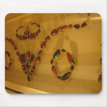 Number Of Insect In Display Mousepads