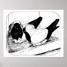 Nuns 1980 print