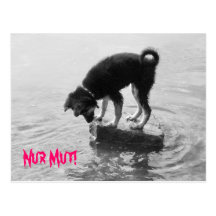 Nur Mut! Postkarte