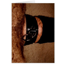 NYLONS AND COLLAR GREETING CARD