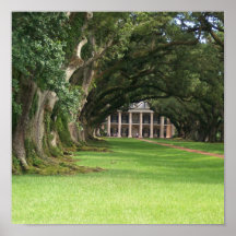 Oak Alley Plantation Print