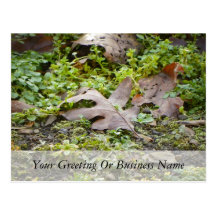Oak Leaf and Chickweed Post Card