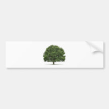 Oak Tree Bumper Stickers