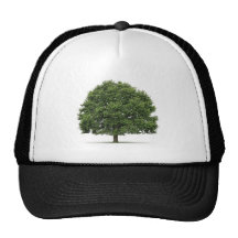 Oak Tree Mesh Hats