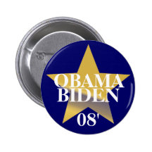 Obama Biden Pins