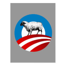 OBAMA SHEEP POST CARDS