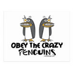 Obey the crazy Penguins! Postcard