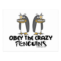 Obey the crazy Penguins! Postcard