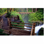 Observation deck and footbridge, Washington, U.S.A Acrylic Cut Out