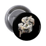 Occupy Wall Street Pin