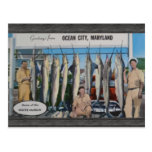 Ocean City, Maryland Home Of The White Marlin, Vin Postcards