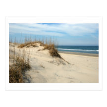 Ocean Dunes Post Cards