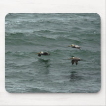 Ocean Pelicans Mouse Pad