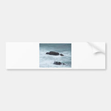 Ocean Rock items Bumper Stickers