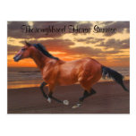 Ocean Thoroughbred Horse Sunrise Postcard