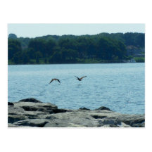 ocean view post card