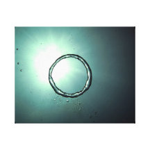 ocean water air ring diver made canvas prints