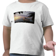 Oceania, Polynesia, Cook Islands, Aitutaki, T Shirt