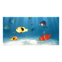 Oceans of Fish Personalized Photo Card