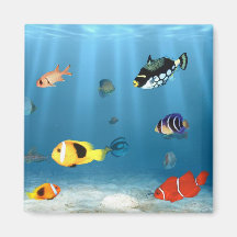 Oceans Of Fish Refrigerator Magnets