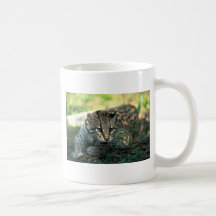 Ocelot lying down mug