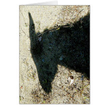Oct. 7, 2008 001z greeting card