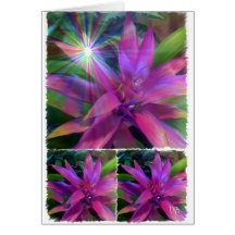 October Flowers Card