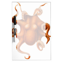 Octopus Illustration Dry Erase White Board