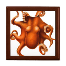 Octopus Illustration Trinket Box