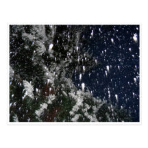 Octorber Snow Storm 2011 Post Cards
