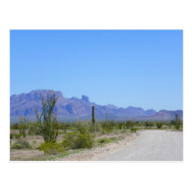 Off Roads Of Arizona Postcards