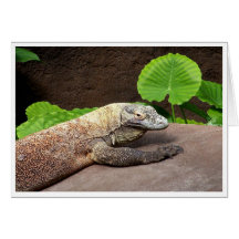 "Oh no...it's Komodo!" Greeting Card