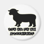ok black sheep farm fridge magnet