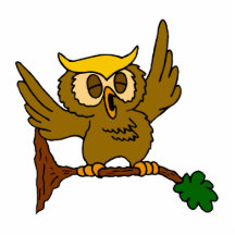 Okala Owl Photo Cut Outs