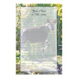Okapi Stationery