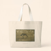 Oklahoma Culy bulldogging. bags