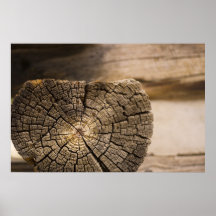 Old Cabin Textures Poster
