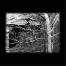 Old cottage and Tree. Black and white. Photo Cut Out